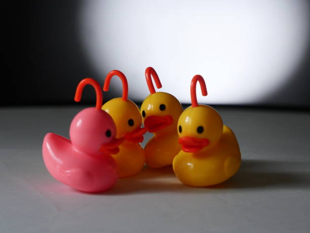 istock plastic ducks on white - Background Individuality Ideas stock photo 1397206479