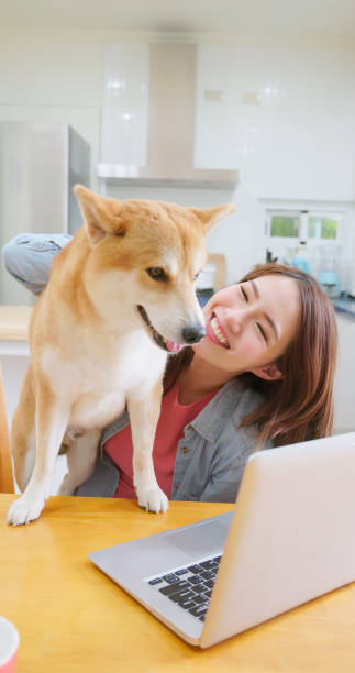 istock girl with dog use laptop 1397207230