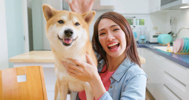 istock happy girl with dog 1397207256