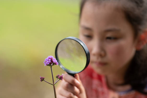 istock Girl observing flowers with magnifying glass 1397208370