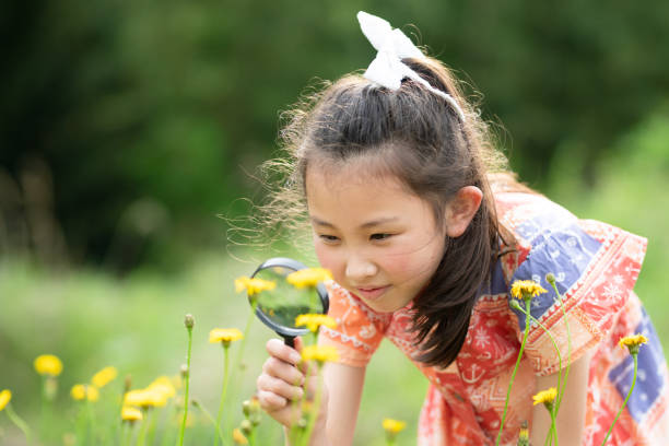 돋보기로 꽃을 관찰하는 소녀 - low scale magnification magnifying glass glass child 뉴스 사진 이미지