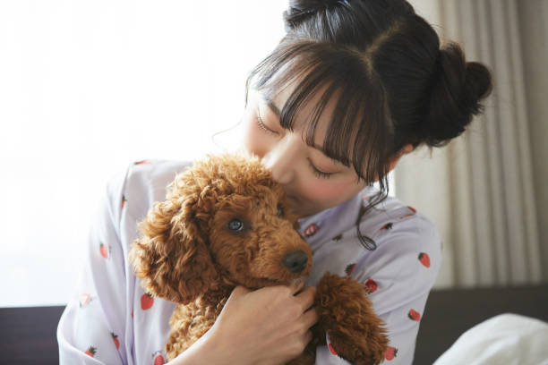 パジャマ姿のアジア人若い女性がペットと過ごす - dog kiss ストックフォトと画像