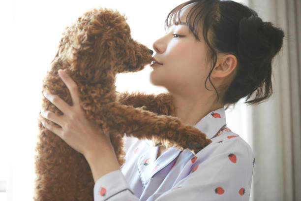 パジャマ姿のアジア人若い女性がペットと過ごす - dog pets stroking women ストックフォトと画像