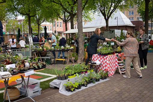 The Netherlands, Rotterdam - May 14, 2022: Plant market at the Rotterdam harvest market