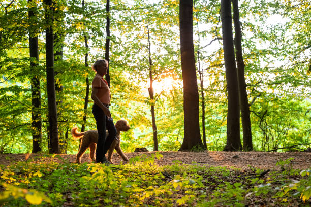 istock active senior woman walks with her dog through the forest 1397214253