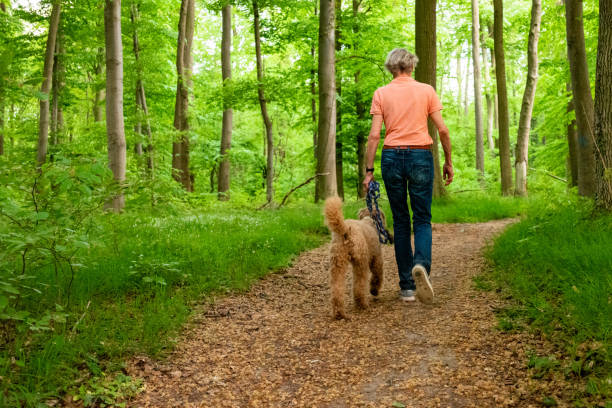 istock active senior woman walks with her dog through the forest 1397214266