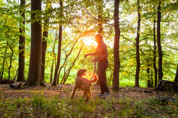 istock active senior woman walks with her dog through the forest 1397214292