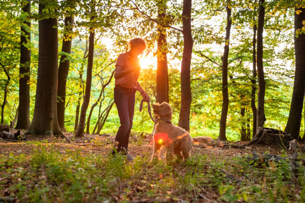 istock active senior woman walks with her dog through the forest 1397214294