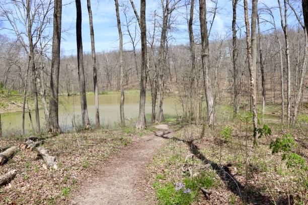 istock Hike to thee Lake 1397214541