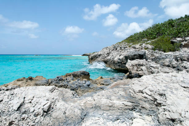 istock Half Moon Cay Rocky Coastline 1397217231