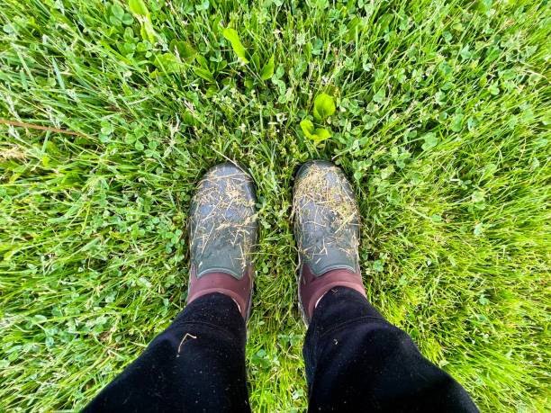 istock Work Shoe Foot Selfie in Grass 1397218108