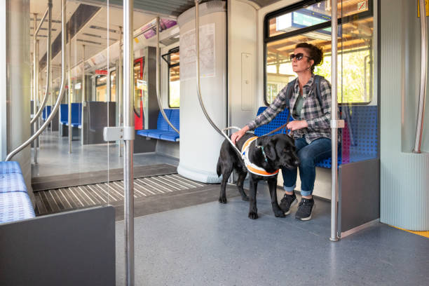 istock Assistance dog accompanies a blind woman on a train 1397219351