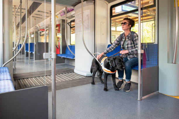 Assistance dog accompanies a blind woman on a train stock photo