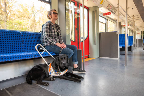 Assistance dog accompanies a blind woman on a train