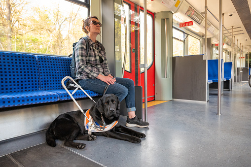 seeing eye dog accompanies a blind woman on a train
