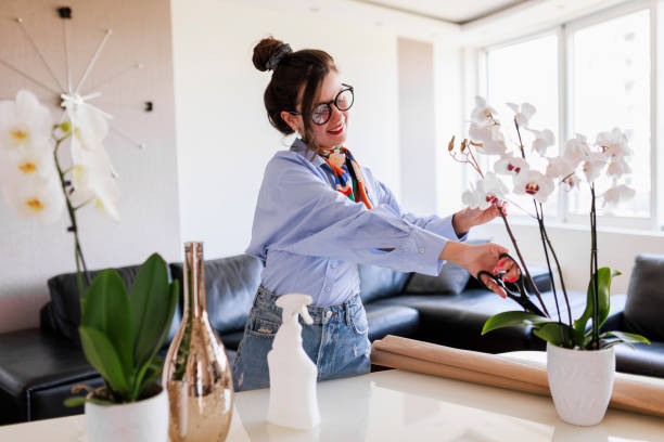 istock Smiling young woman pruning orchid at home 1397221015