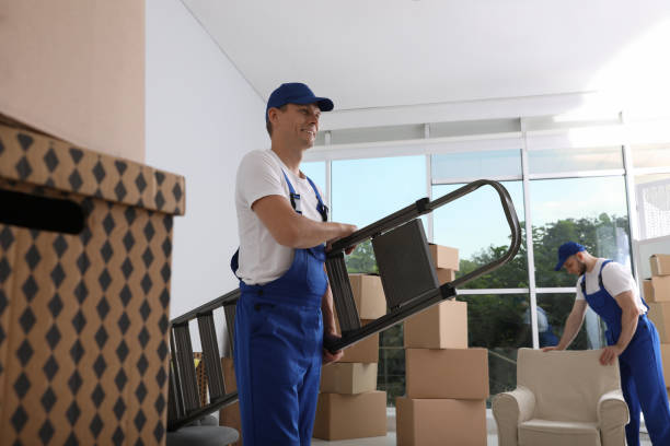 istock Moving service employees with ladder and cardboard boxes in room 1397222030