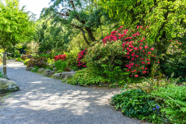 istock Scenic Garden Landscape 1397224590