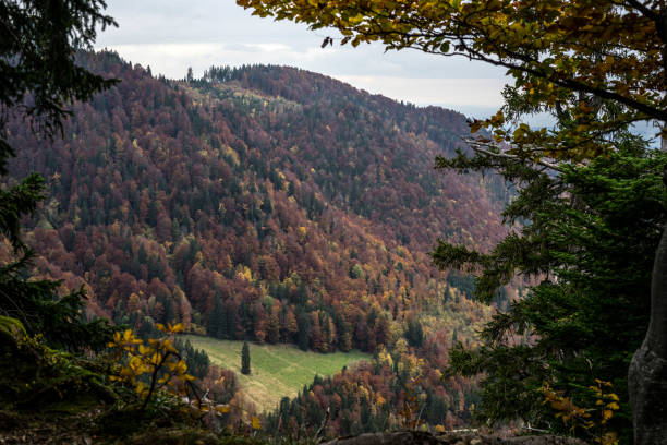 istock Autumn in the Chiemgau Alps 1397231515