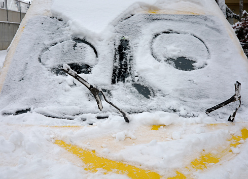 funny face shape in a snow covered car