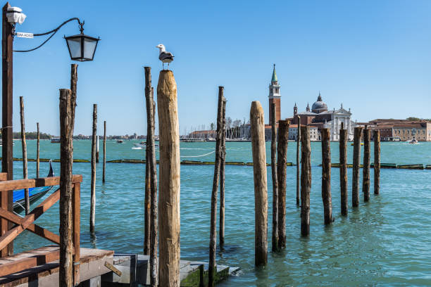 Gondolas around Venice stock photo