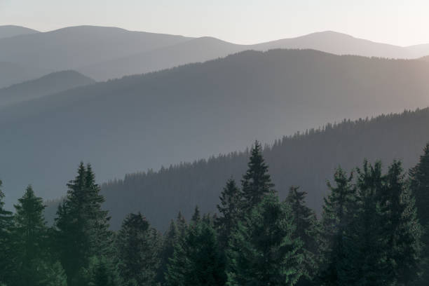 istock Amazing landscape of misty layers mountains. Old effect. 1397239113