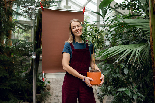 Portrait of a beautiful happy woman standing in a botanical garden with a brown colour backdrop setup behind her, holding a potted plant in her hands and looking at the camera