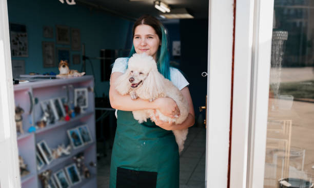 Pet grooming salon owner portrait stock photo