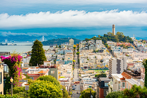 San Francisco city view with Coit tower and blue cloudy sky in background. California, USA