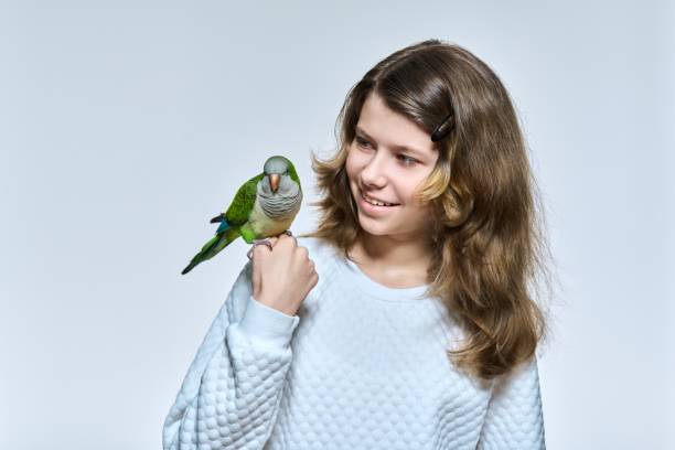istock Child girl with pet green quaker parrot looking at camera on light studio background 1397243651