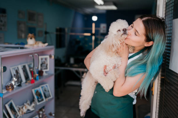istock Female dog groomer 1397244525