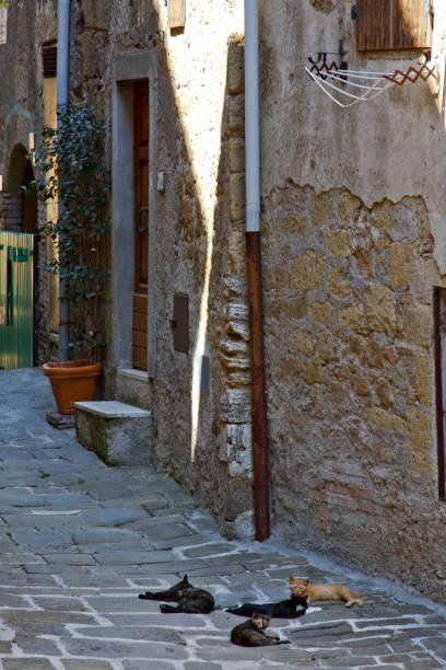 istock Sorano, borgo medievale. Toscana, Italia 1397244673