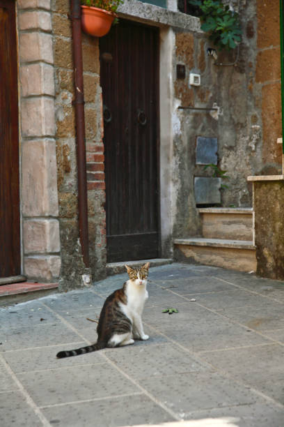 istock Pitigliano, borgo medievale. Toscana, Italia 1397247640