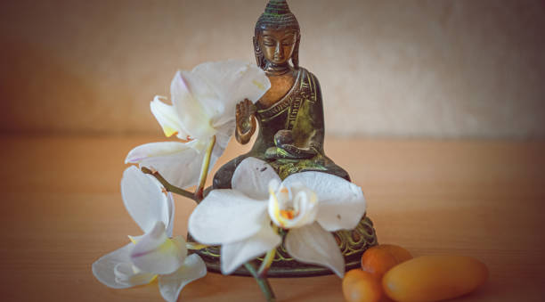 istock large white orchid flowers on a brown background 1397249524