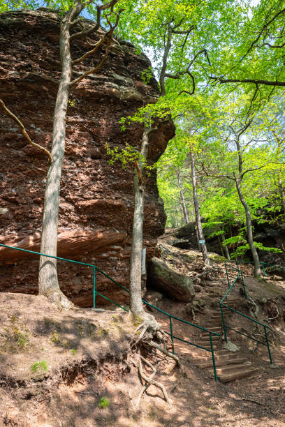 istock Tall rock in a forest, used for climbing in Eifel national park, Germany 1397252958