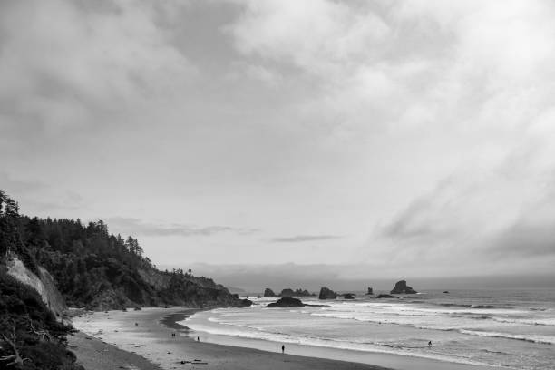 istock Indian Beach in Ecola State Park near Cannon Beach, Oregon 1397255448