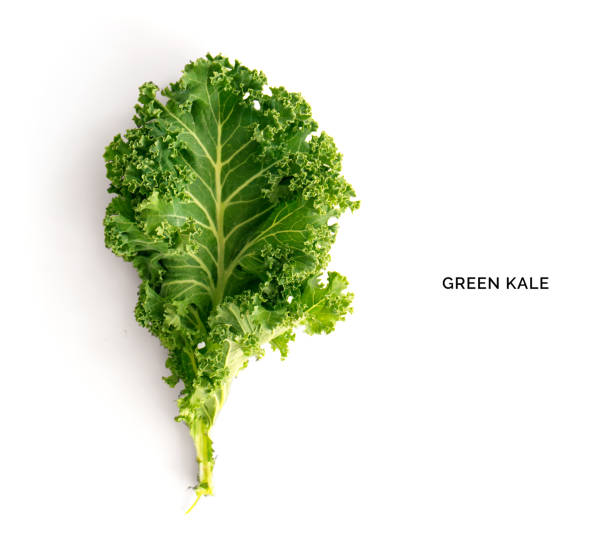 креативный макет из капусты. плоская укладка. концепция питания. - kale стоковые фото и изображения
