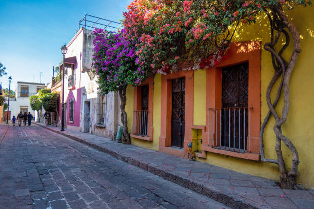 メキシコ、ケレタロの窓とブーゲンビリアの花が咲く素朴な通り - queretaro city ストックフォトと画像