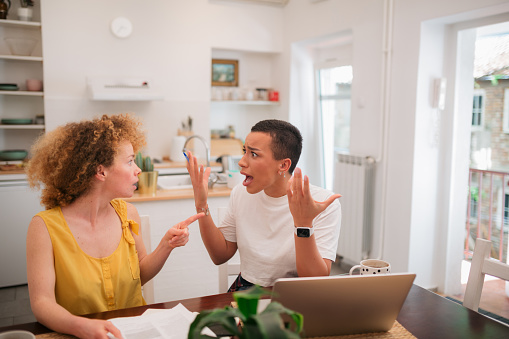 A couple of female roommates doing taxes at home using a laptop, arguing and blaming each other for the expensive cost of living together