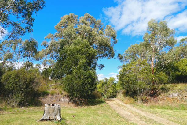 istock Omeo,  Victoria,  Australia 1397260072