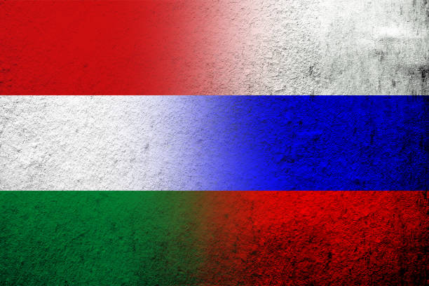 nationalflagge der russischen föderation mit nationalflagge von ungarn. grunge-hintergrund - president of russia stock-grafiken, -clipart, -cartoons und -symbole