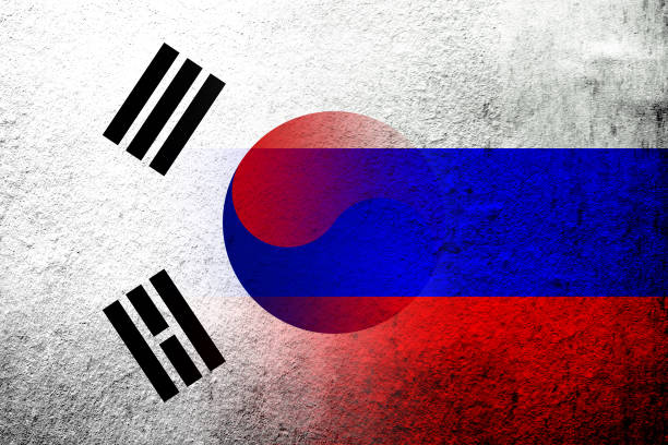 flaga narodowa federacji rosyjskiej z flagą narodową korei południowej. tło grunge'owe - flag russian flag russia dirty stock illustrations
