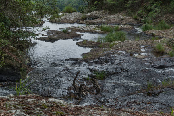 istock The Springbrook National Park on the Gold Coast 1397264317