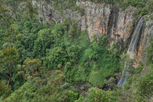 istock The Springbrook National Park on the Gold Coast 1397264320