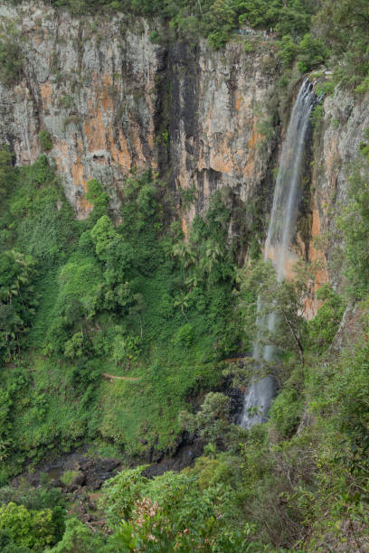 istock The Springbrook National Park on the Gold Coast 1397264344