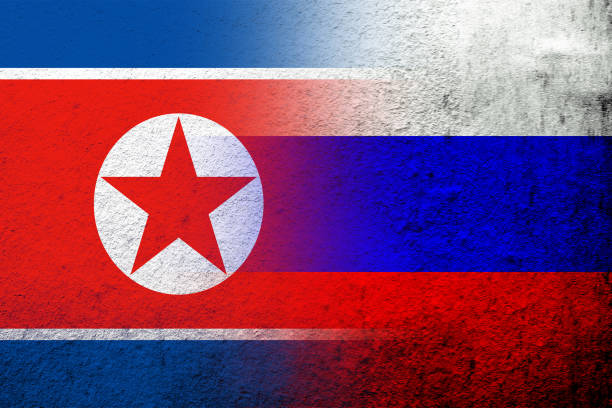nationalflagge der russischen föderation mit der nationalflagge der demokratischen volksrepublik korea nordkorea. grunge-hintergrund - president of russia stock-grafiken, -clipart, -cartoons und -symbole