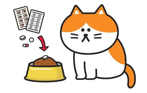 Vector illustration of Pet owner mixing medicines with cat food trying to cure an orange cat.