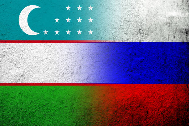 nationalflagge der russischen föderation mit der nationalflagge der republik usbekistan. grunge-hintergrund - president of russia stock-grafiken, -clipart, -cartoons und -symbole