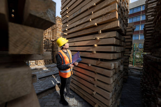 istock A Chinese woman worker works in a timber warehouse. 1397268376