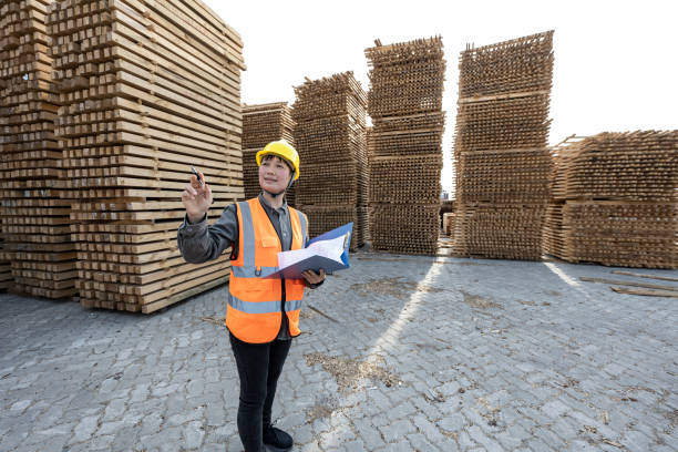 istock A Chinese woman worker works in a timber warehouse. 1397268511